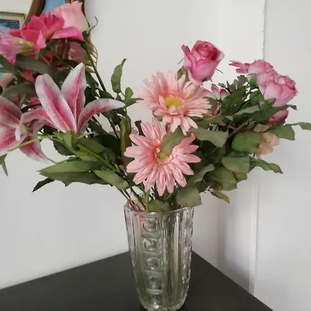 Daire Silver Sword Floransa